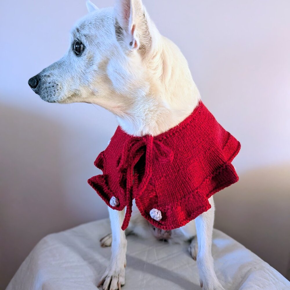 Dog pet handmade handknitted collar costume sweater M - Picture 6 of 11